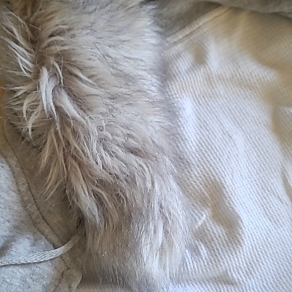 GAP Cotton Hoodie - Picture 9 of 15